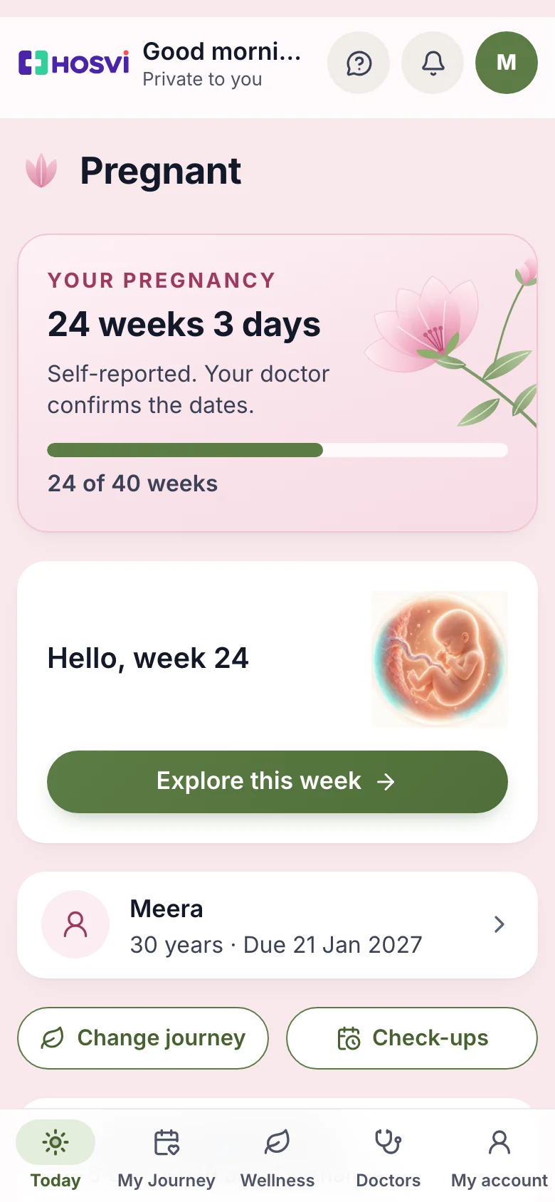 This week in pregnancy: 24 weeks 4 days, the due date and the baby the size of a corn cob